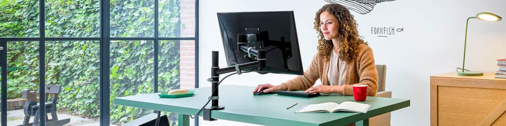 Monitor arm for 1 monitor | from just 69,-