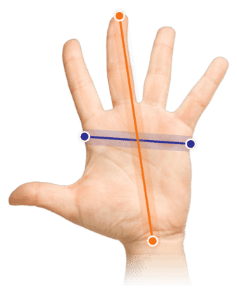 Welke maat past bij jouw hand?