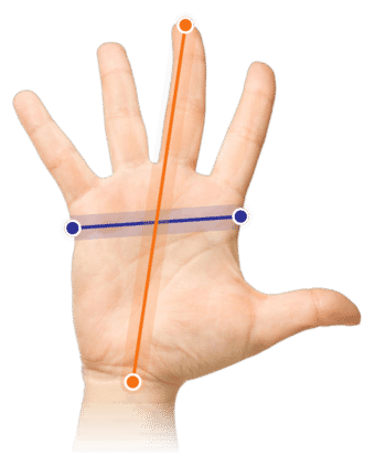 Welke maat past bij jouw hand?