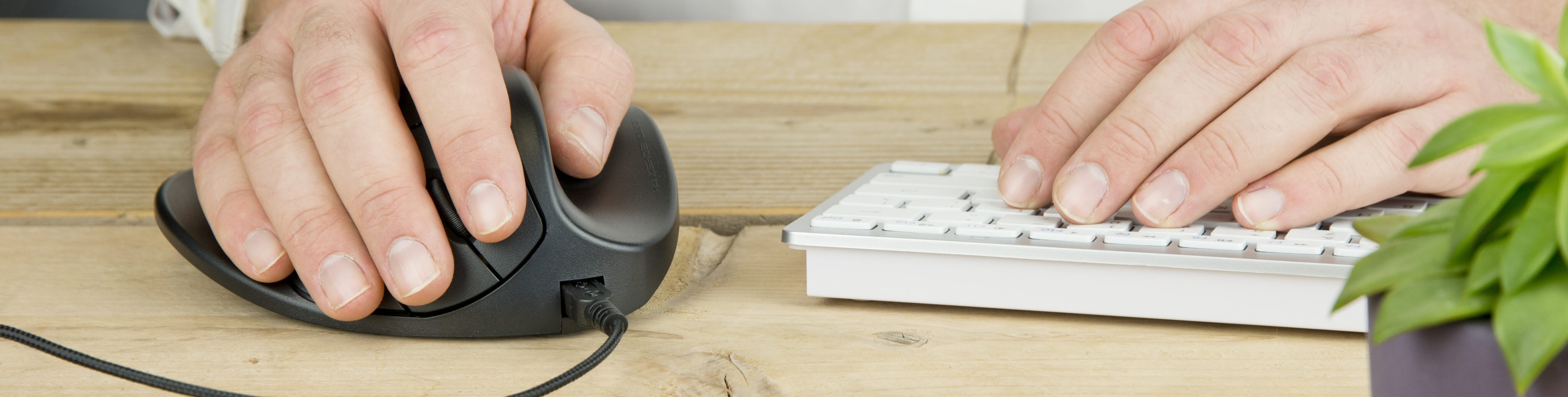 Handshoemouse met hand